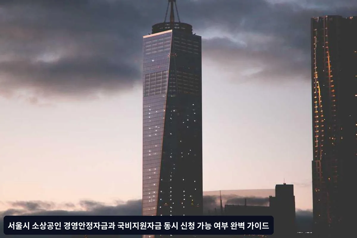 주요 국비지원자금 종류