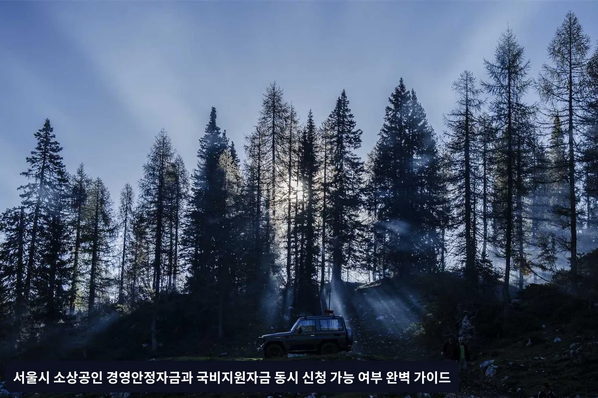 신청 전 필수 확인사항
