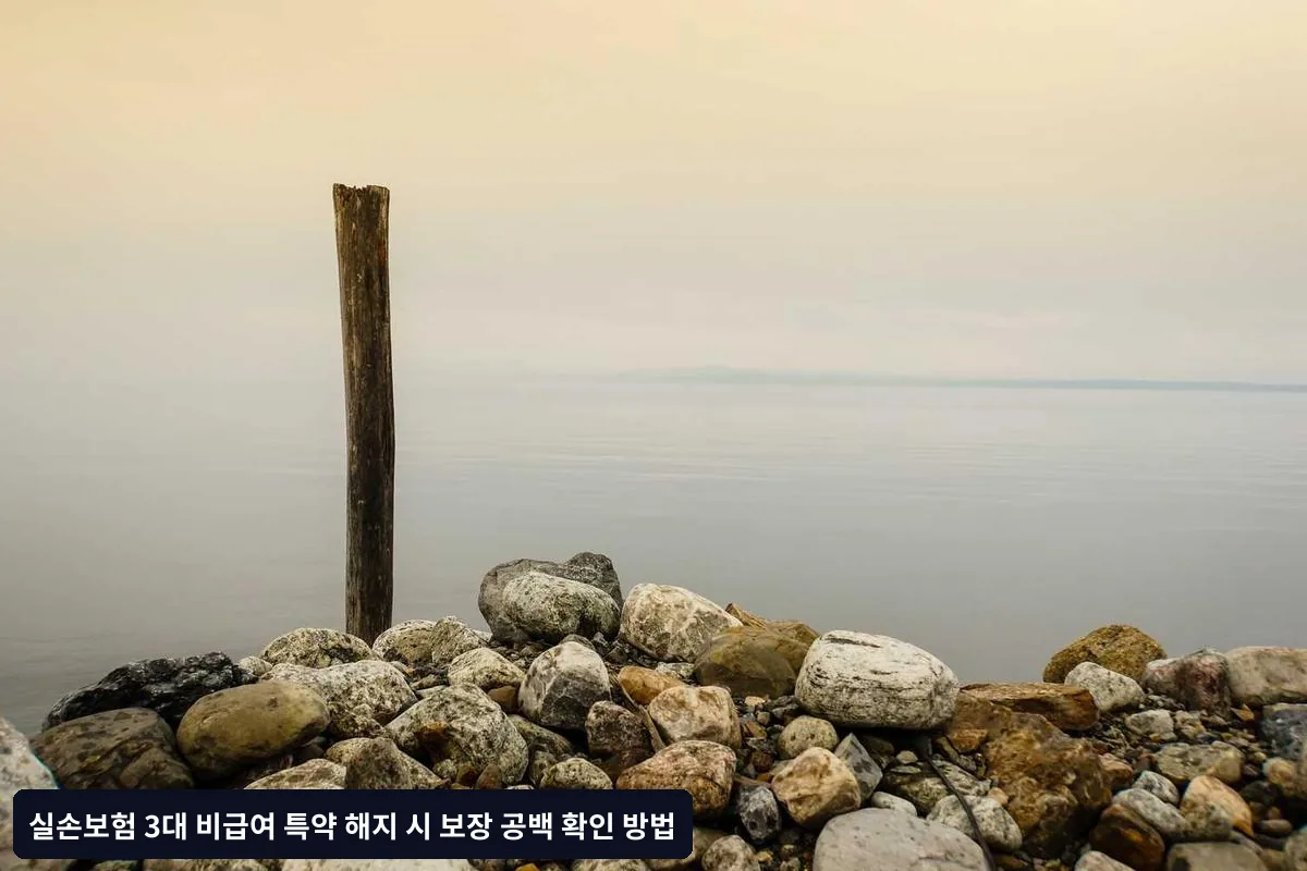 표준화 이전 실손보험 계약의 특징