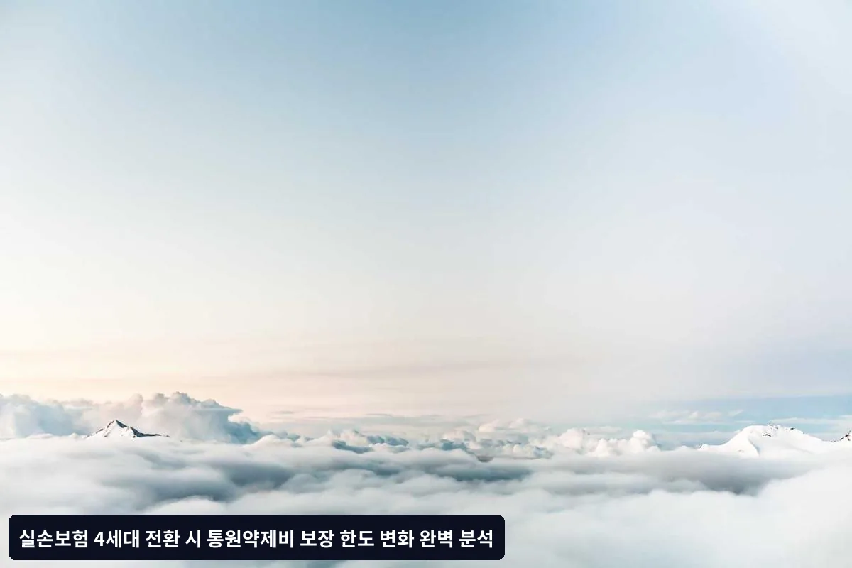 기존 보장 승계 원칙