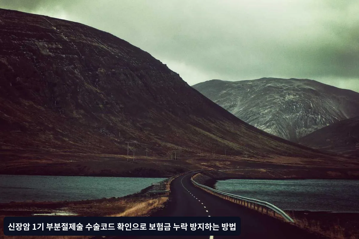 신장암 수술코드 체계 이해