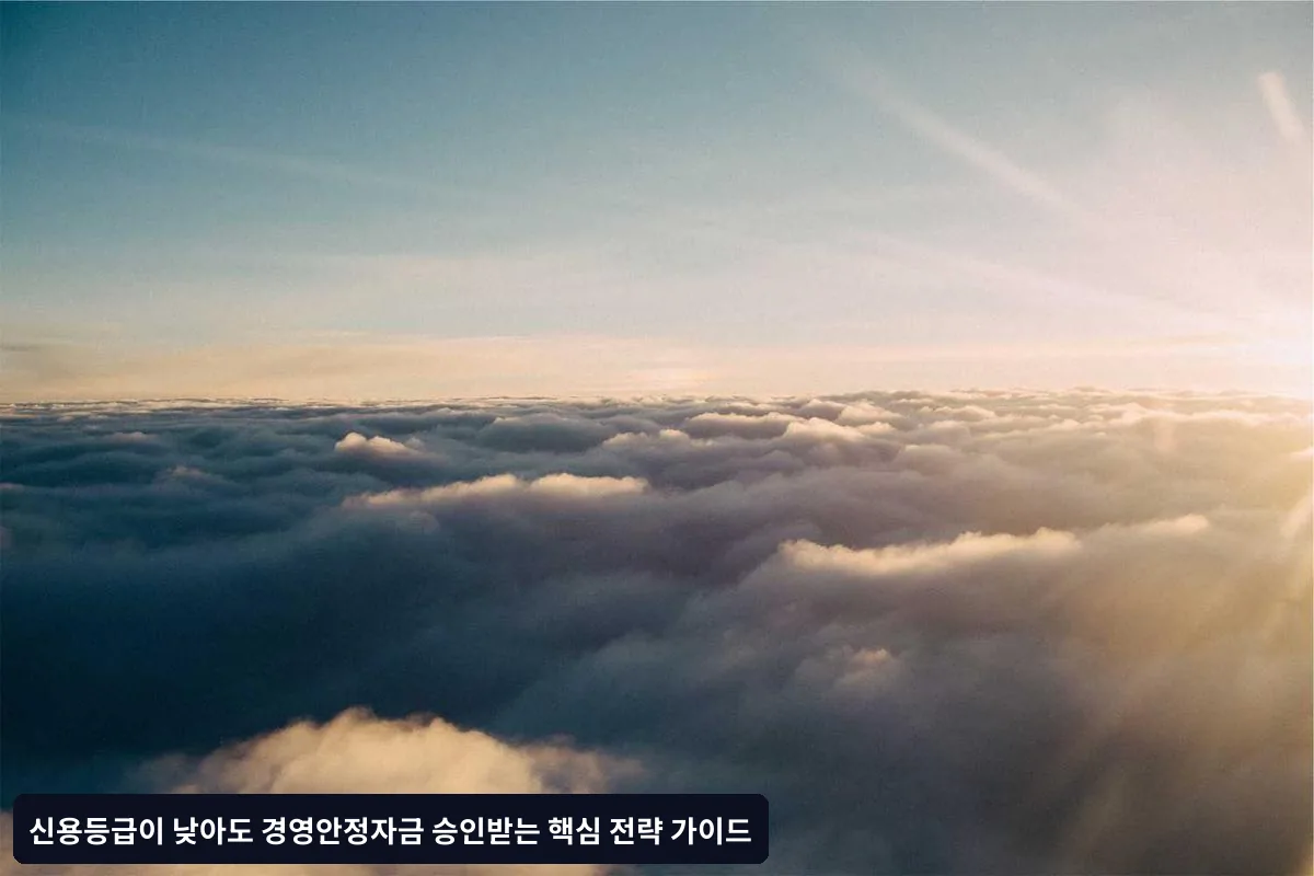 경영안정자금 심사에서 신용등급보다 중요한 요소들
