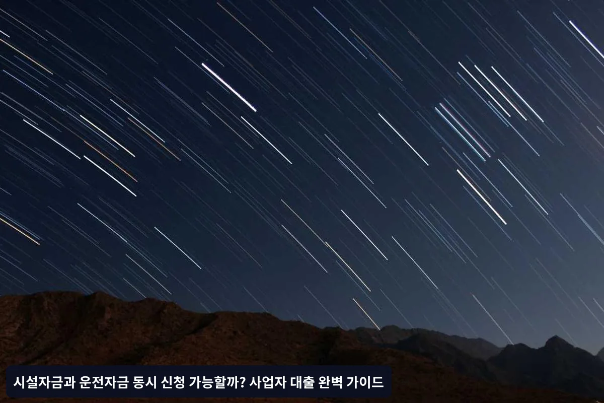 금융기관별 동시 신청 정책