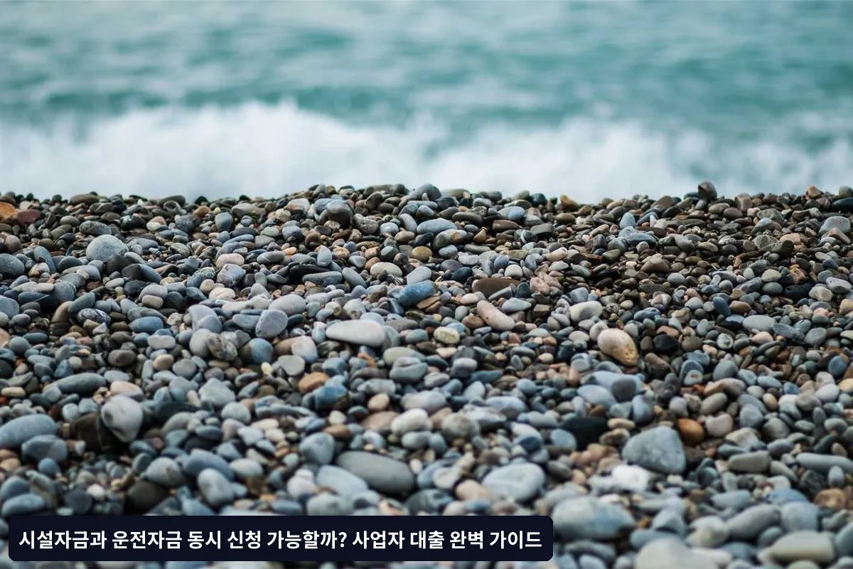실제 사례로 보는 성공 팁