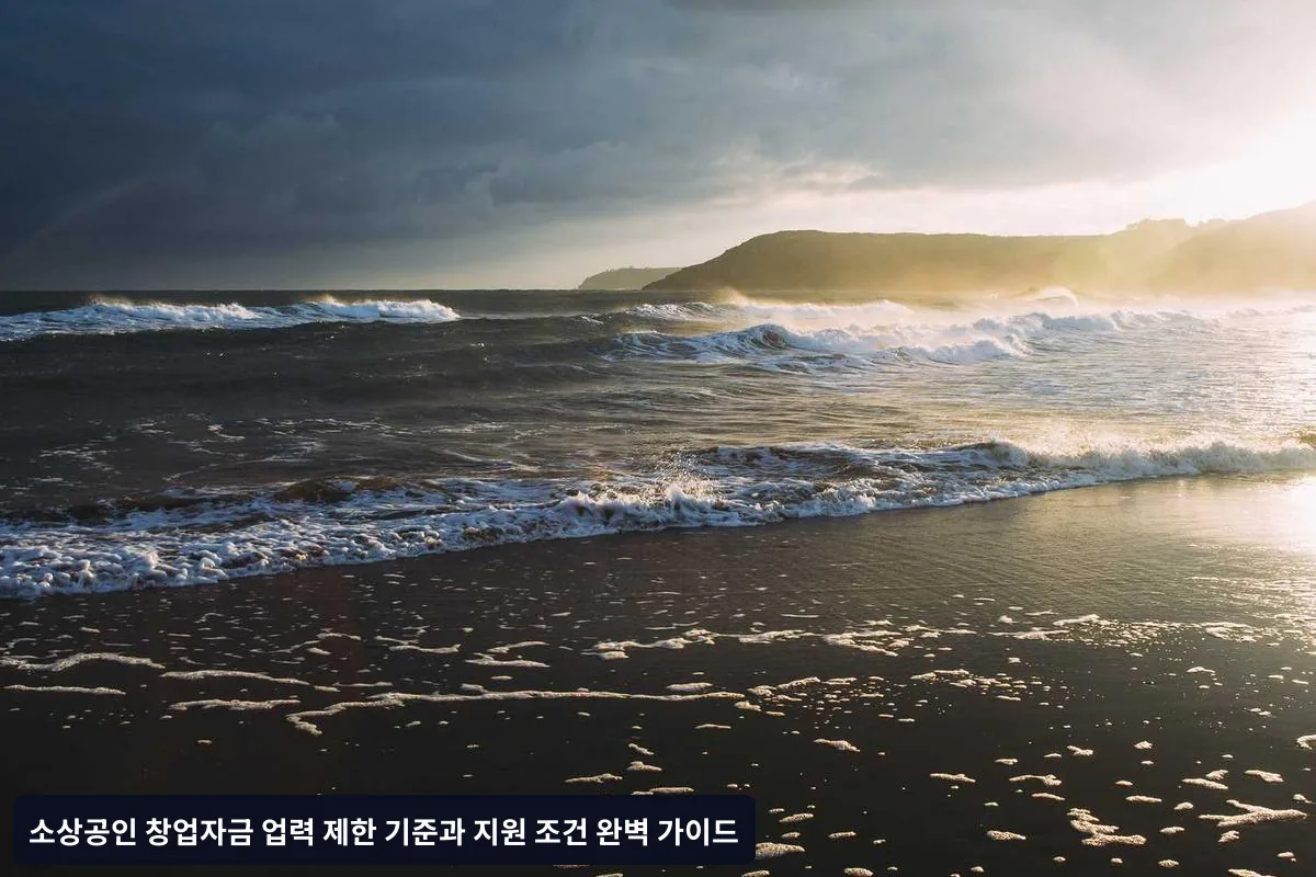 주요 창업자금 프로그램별 업력 제한