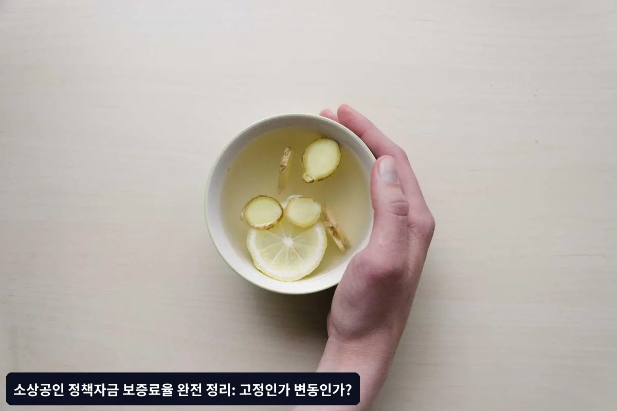 보증료율 체계의 이해
