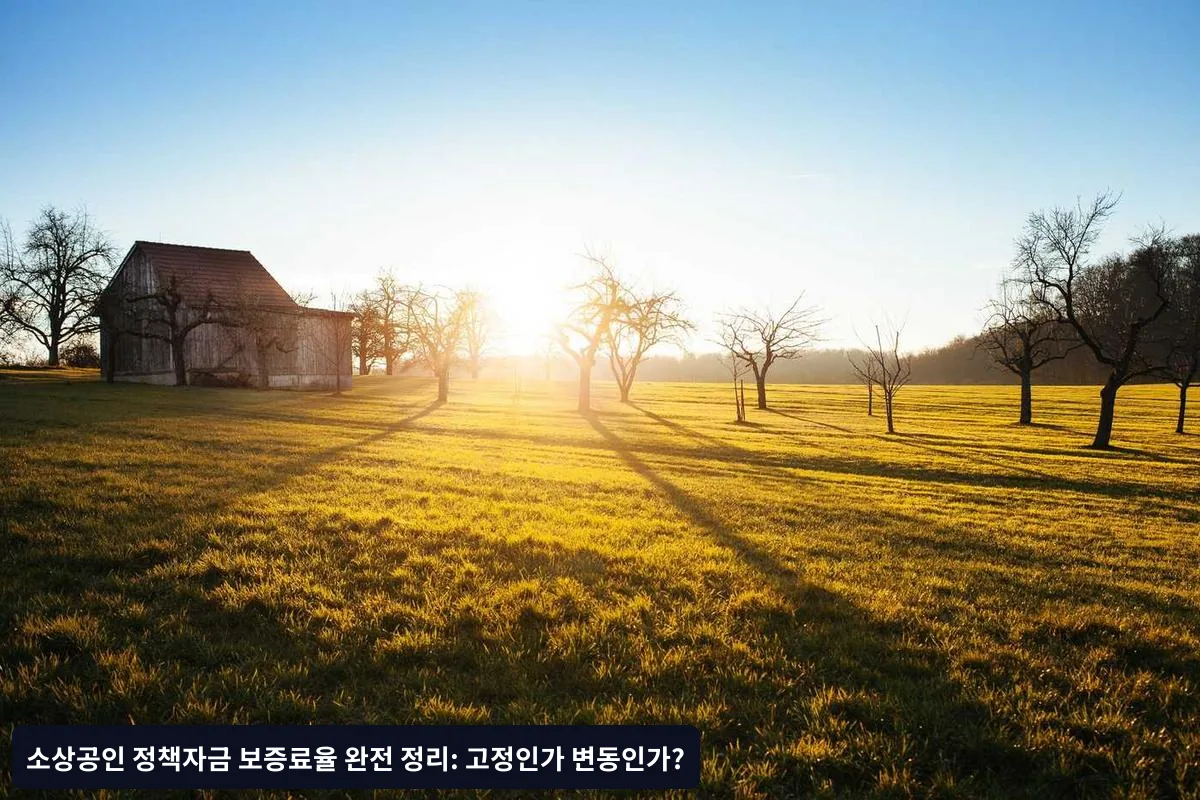 신청 시 주의사항