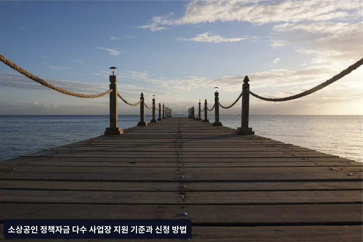 지원 한도와 제한사항