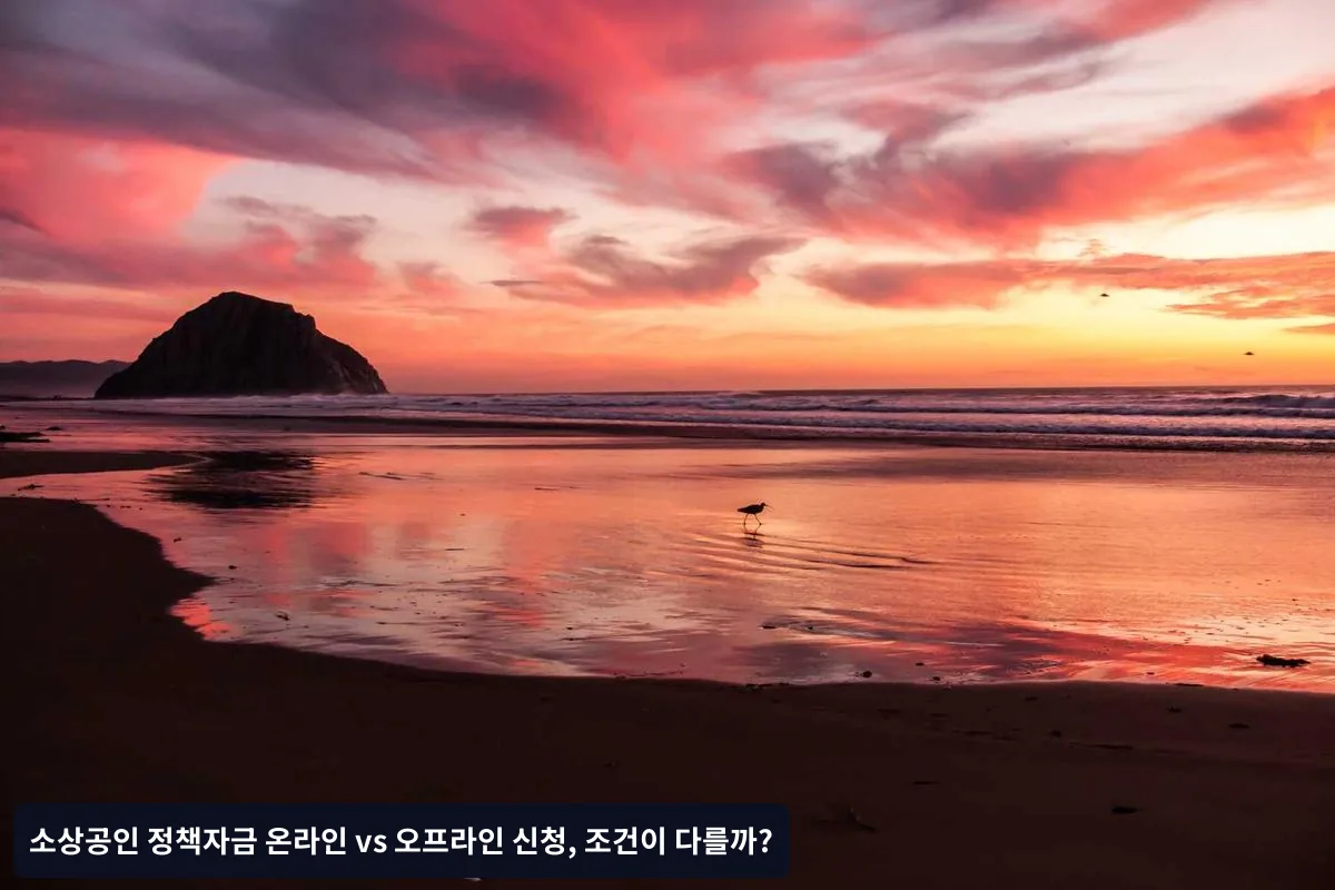 체크리스트: 신청 전 필수 점검사항