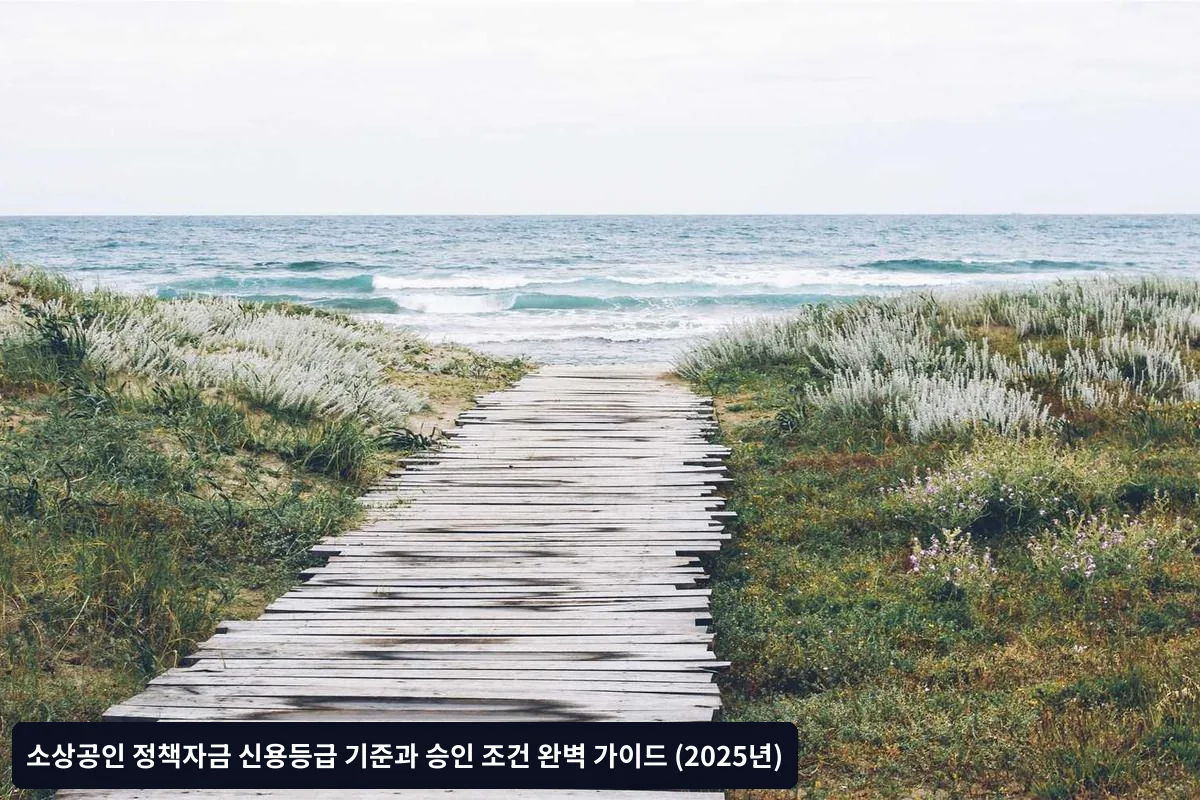 신용등급 개선 방법