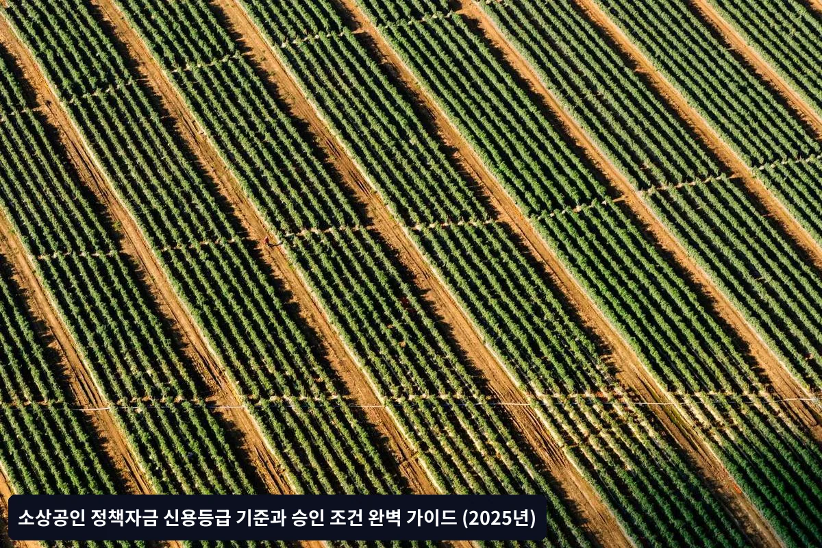 신청 시기 전략