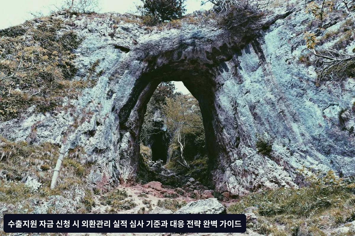 Q1. 외환 위반 이력이 있으면 무조건 불승인인가요?