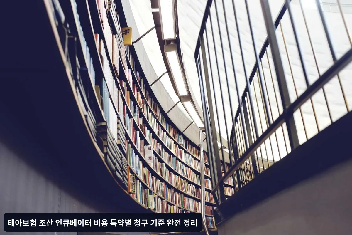 청구 시 필요한 서류와 절차