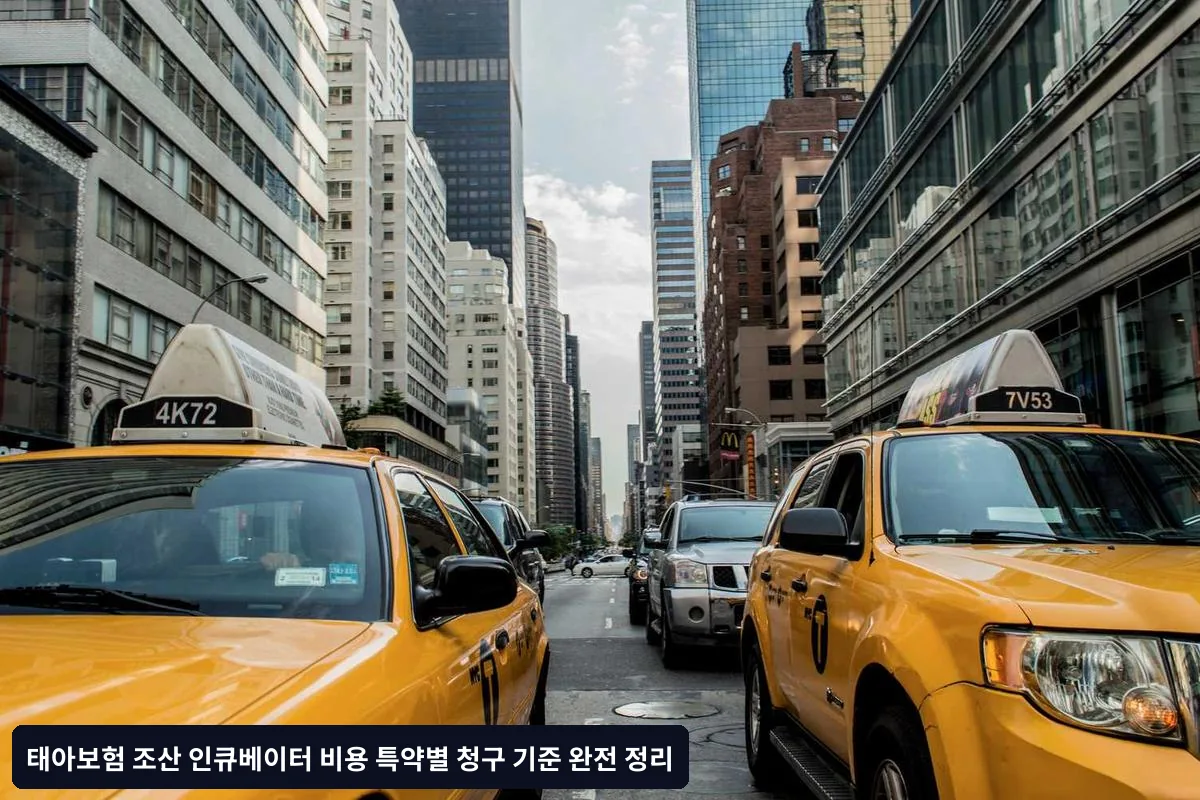 2025년 변경사항과 트렌드
