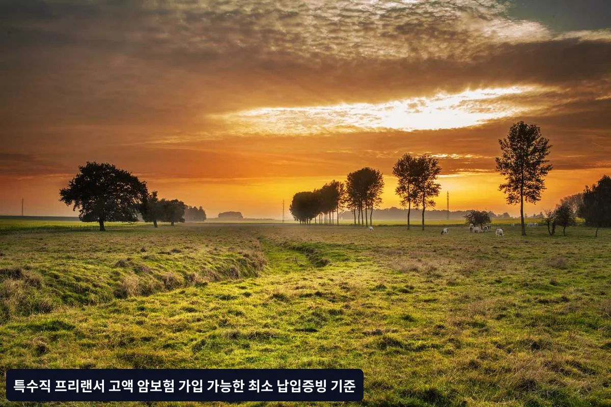 외국계 보험사 기준