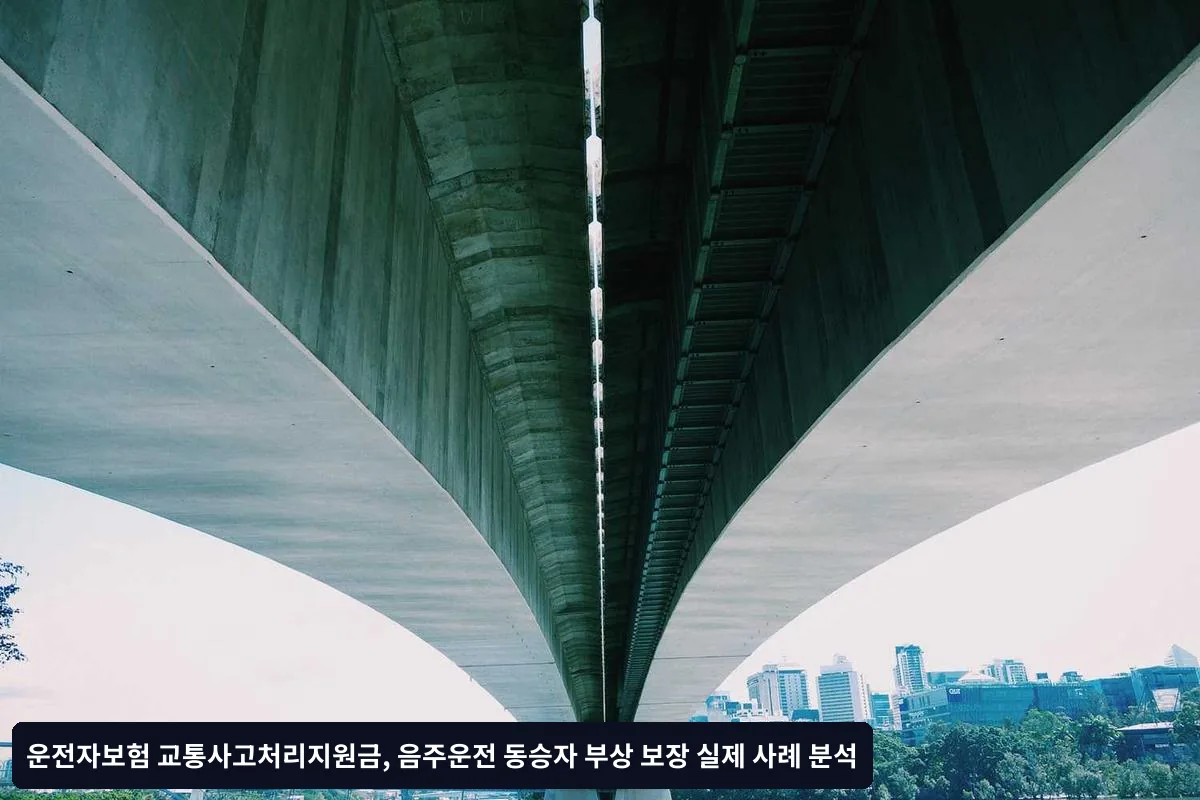 동승자 부상 보장 실제 사례 분석