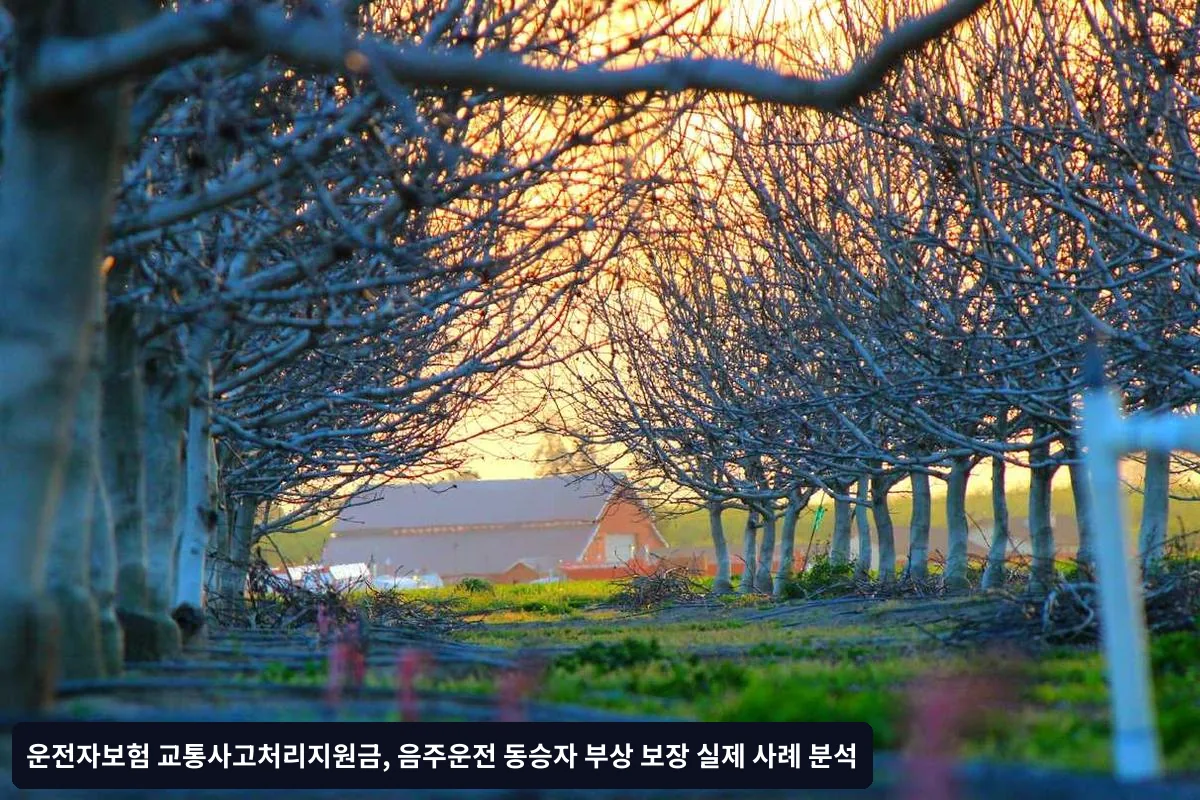 예외적 보장 가능한 상황들