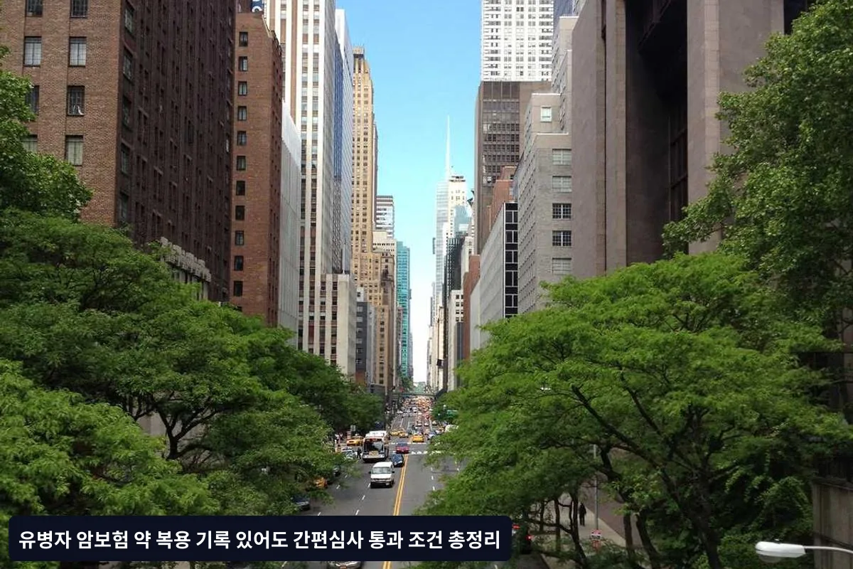 요약 및 체크리스트