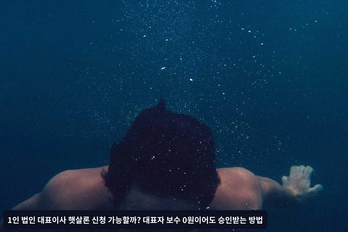 대표자 보수 0원일 때 소득 증명 방법