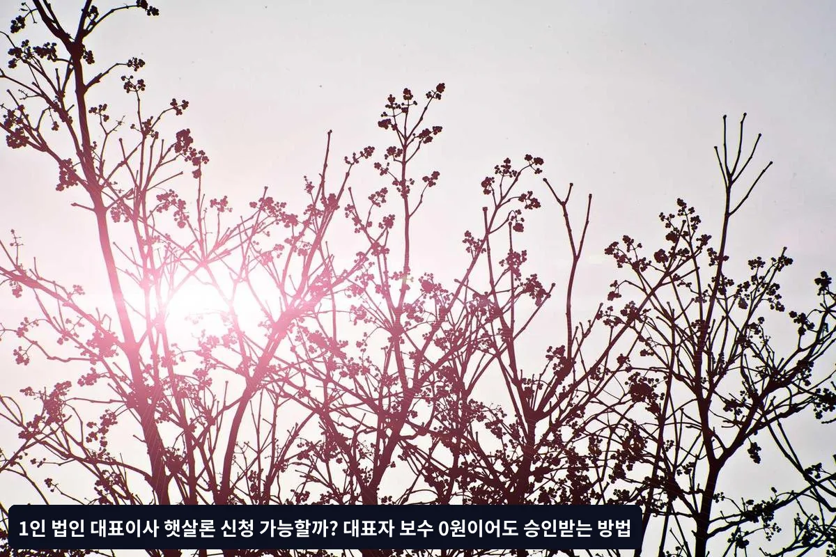 승인 가능성을 높이는 실전 전략