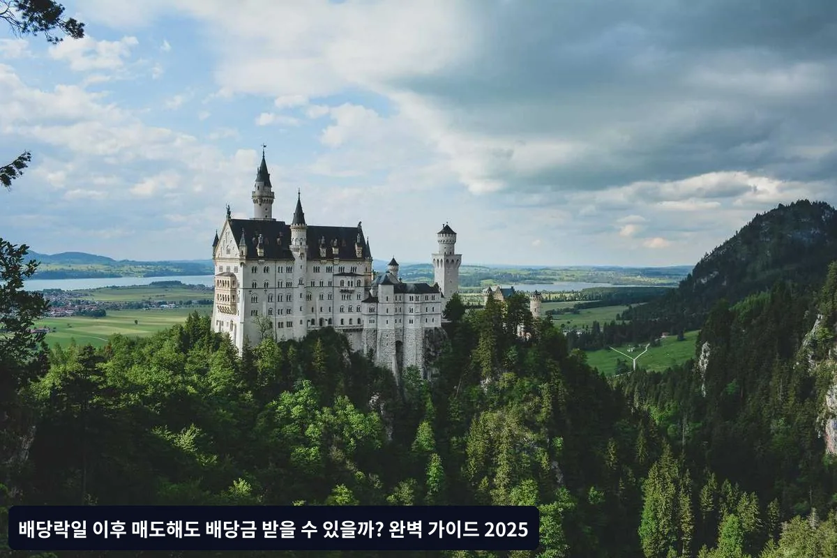 흔히 하는 실수와 대응 방법