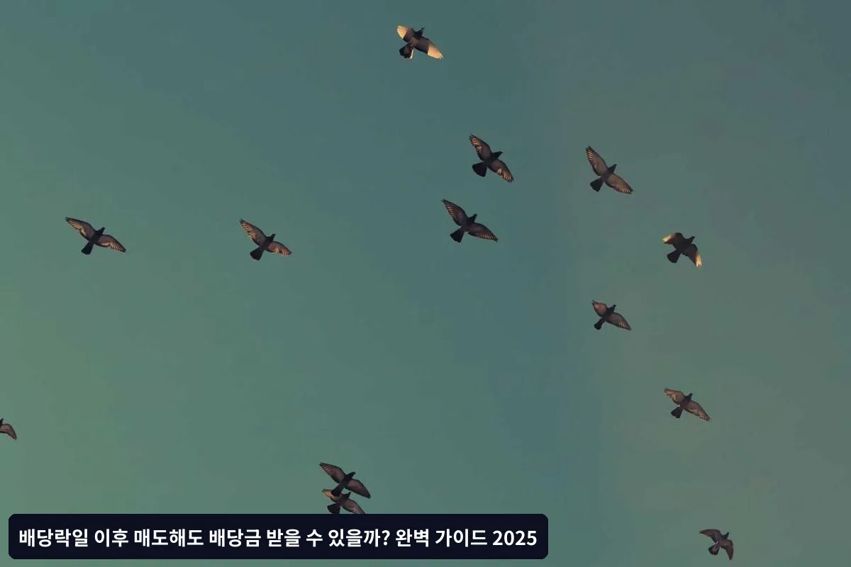 Q1: 배당락일 당일에 매수해도 배당금을 받을 수 있나요?