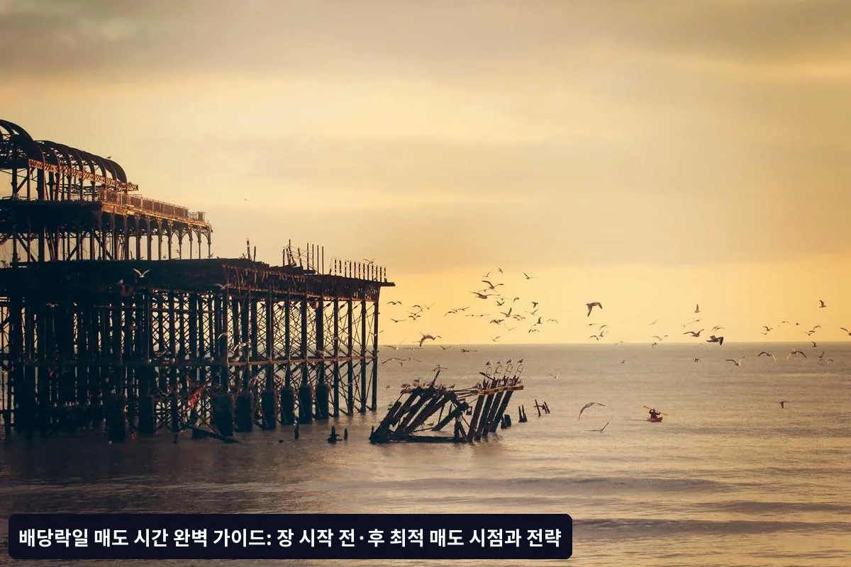 단계별 실전 매도 가이드