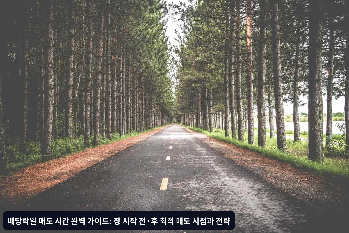 거래수수료 최적화