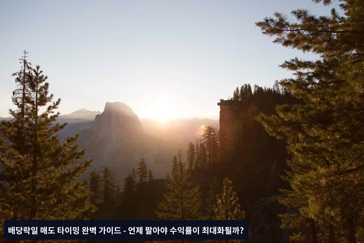 세금 최적화를 위한 구체적 계산법
