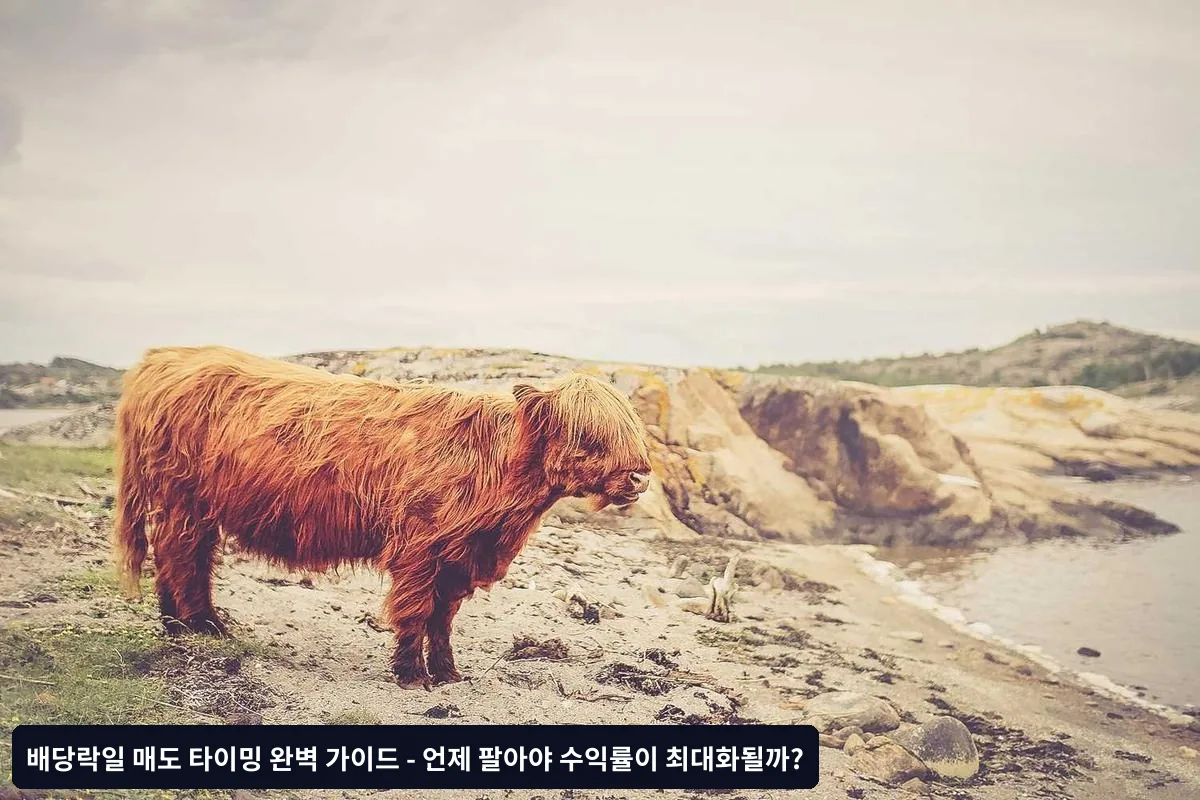 2025년 배당주 투자 환경 변화