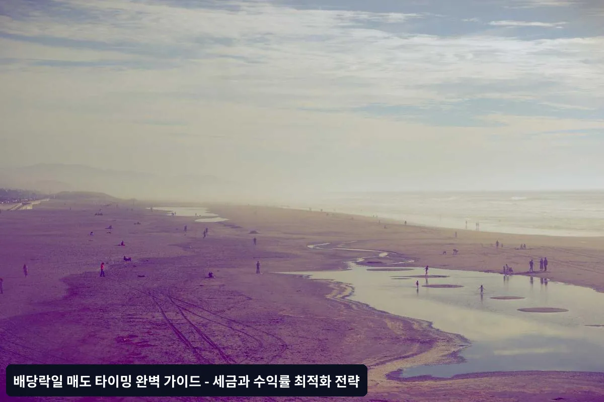 시장 상황별 대응 전략