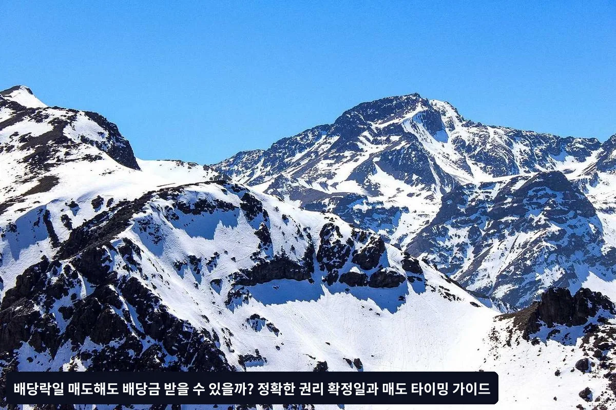 최적 매도 타이밍 전략