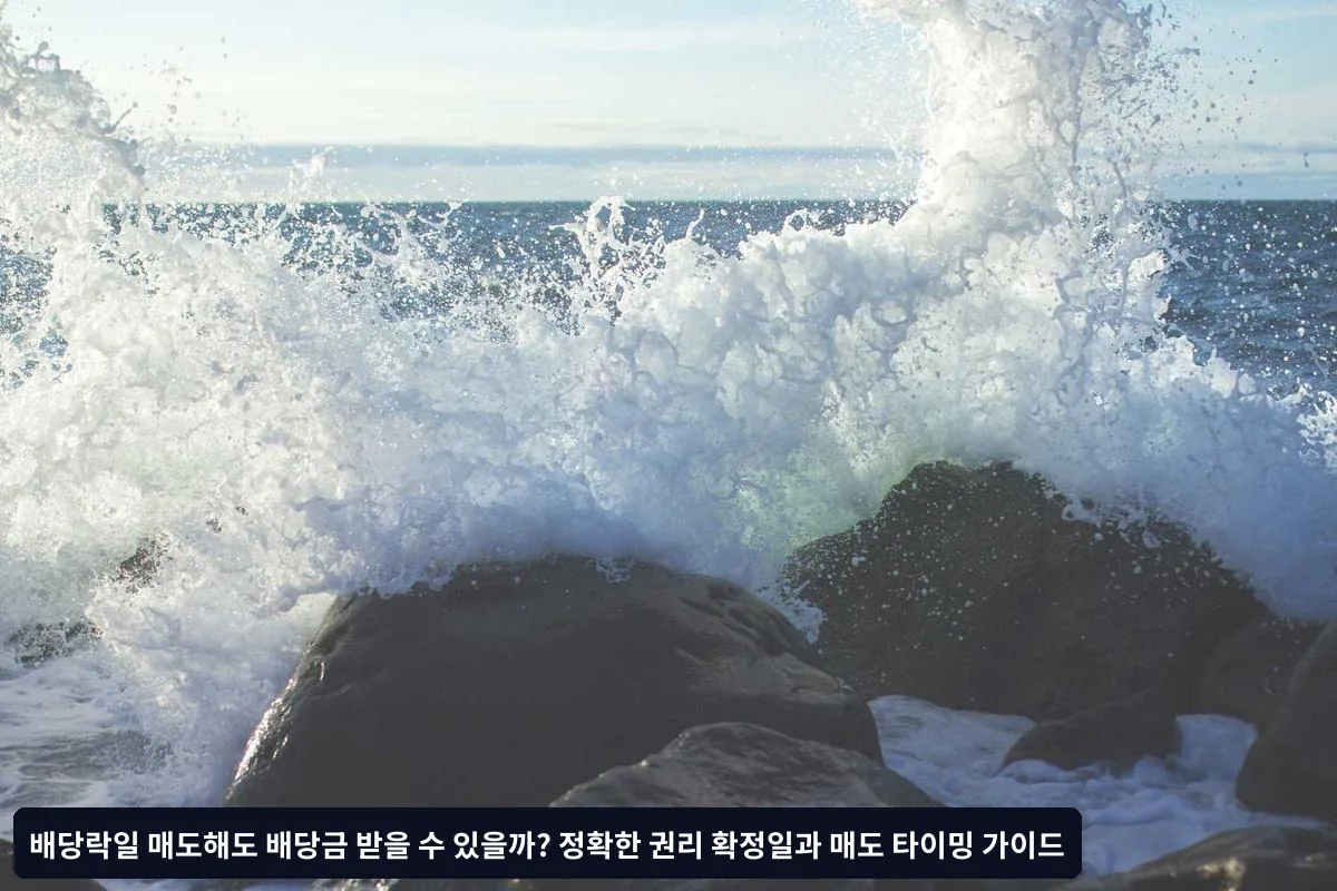 시장 리스크