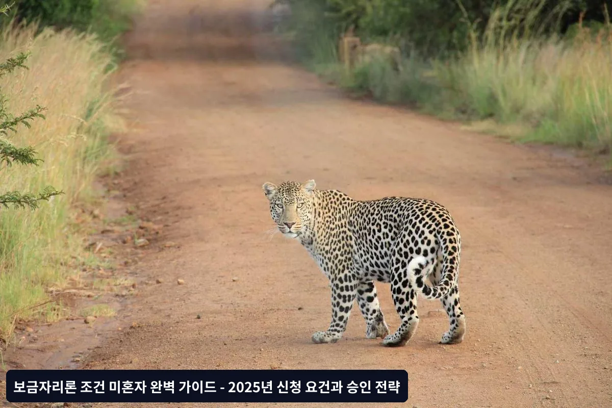 소득 산정 방식의 특징