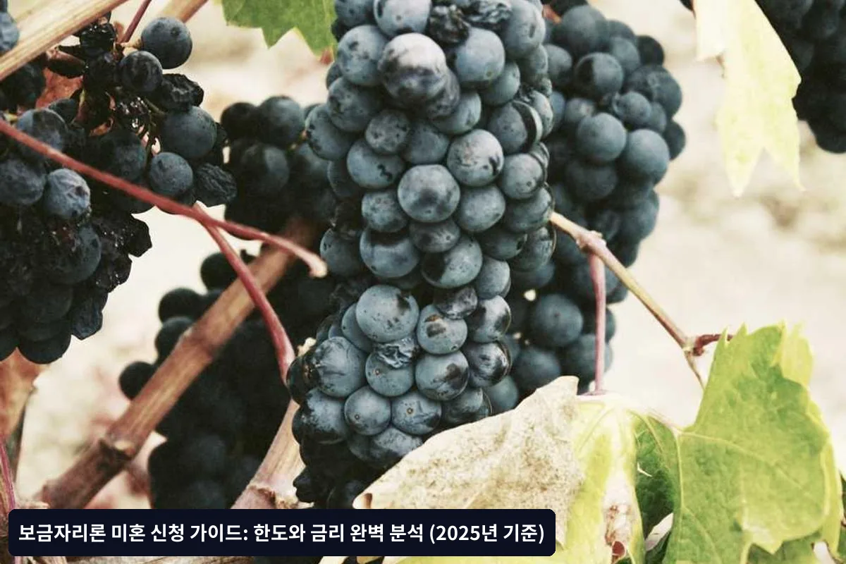 실제 미혼자 보금자리론 승인 사례