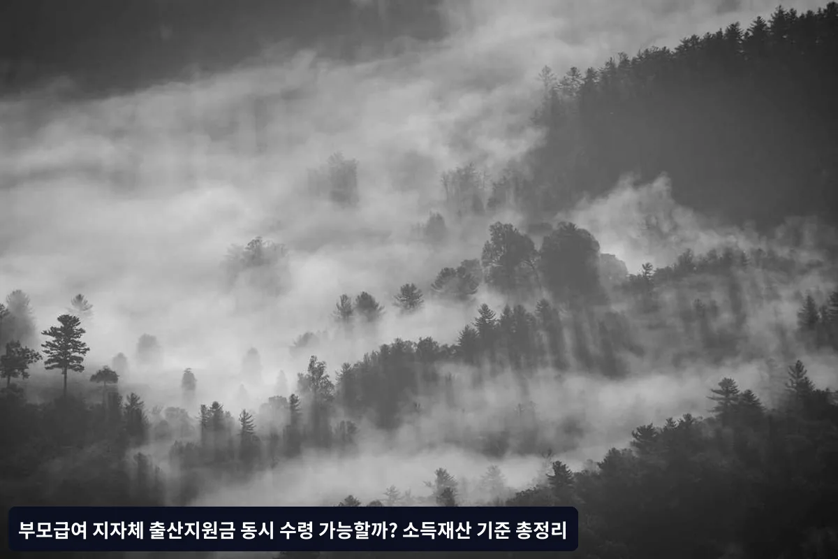 지역별 출산지원금 기준과 부모급여 동시 수령 현황