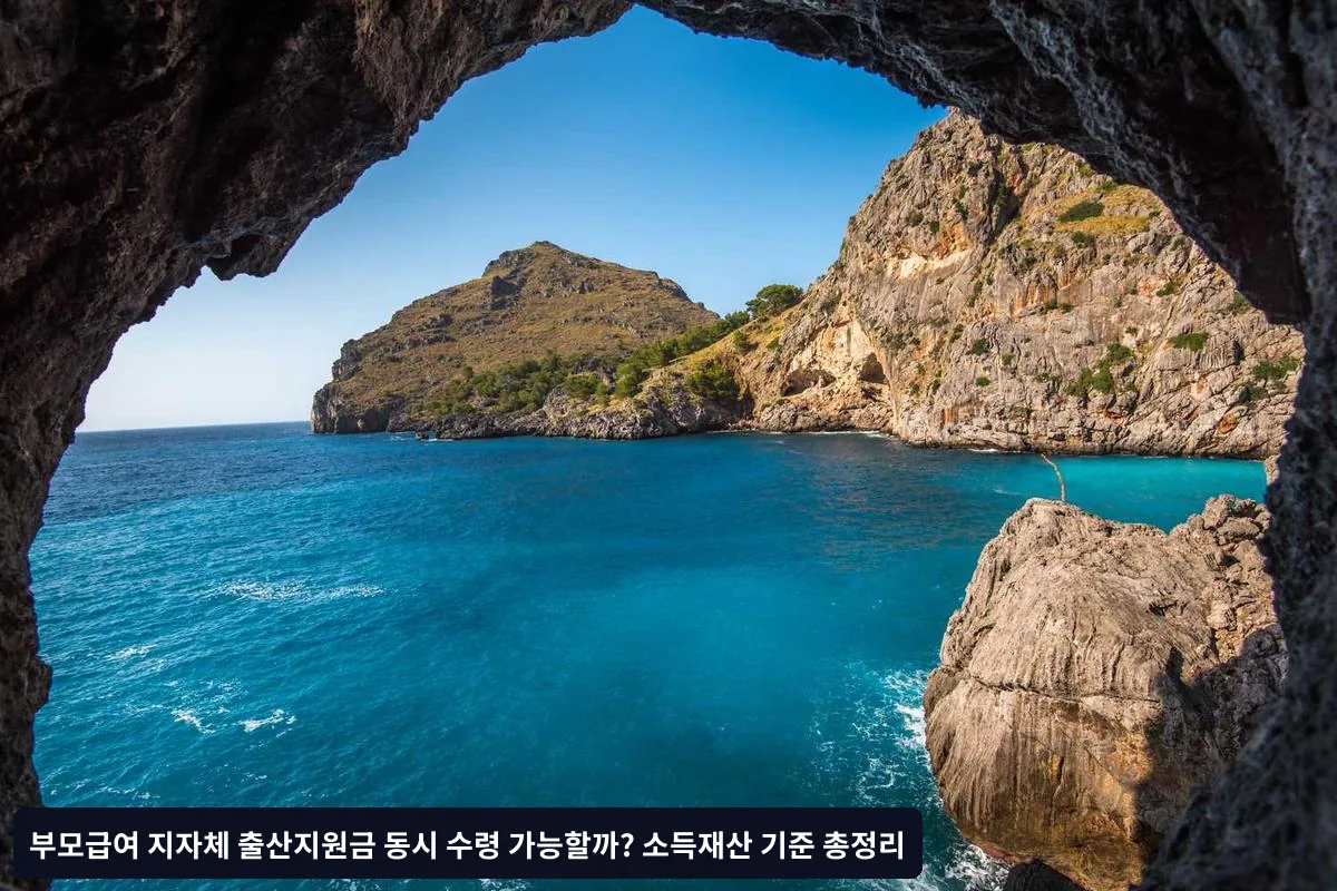 소득 산정 시 제외되는 항목들