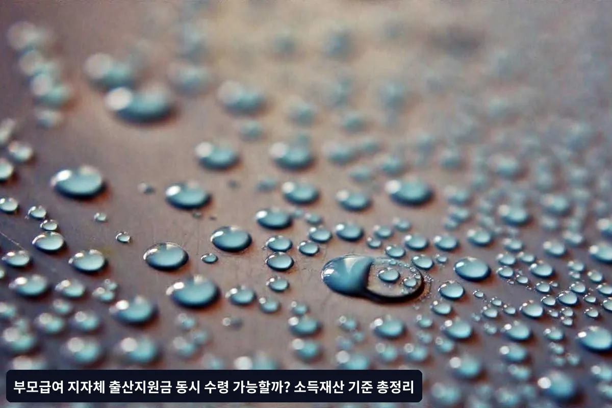 Q4: 이사를 가면 어떻게 되나요?