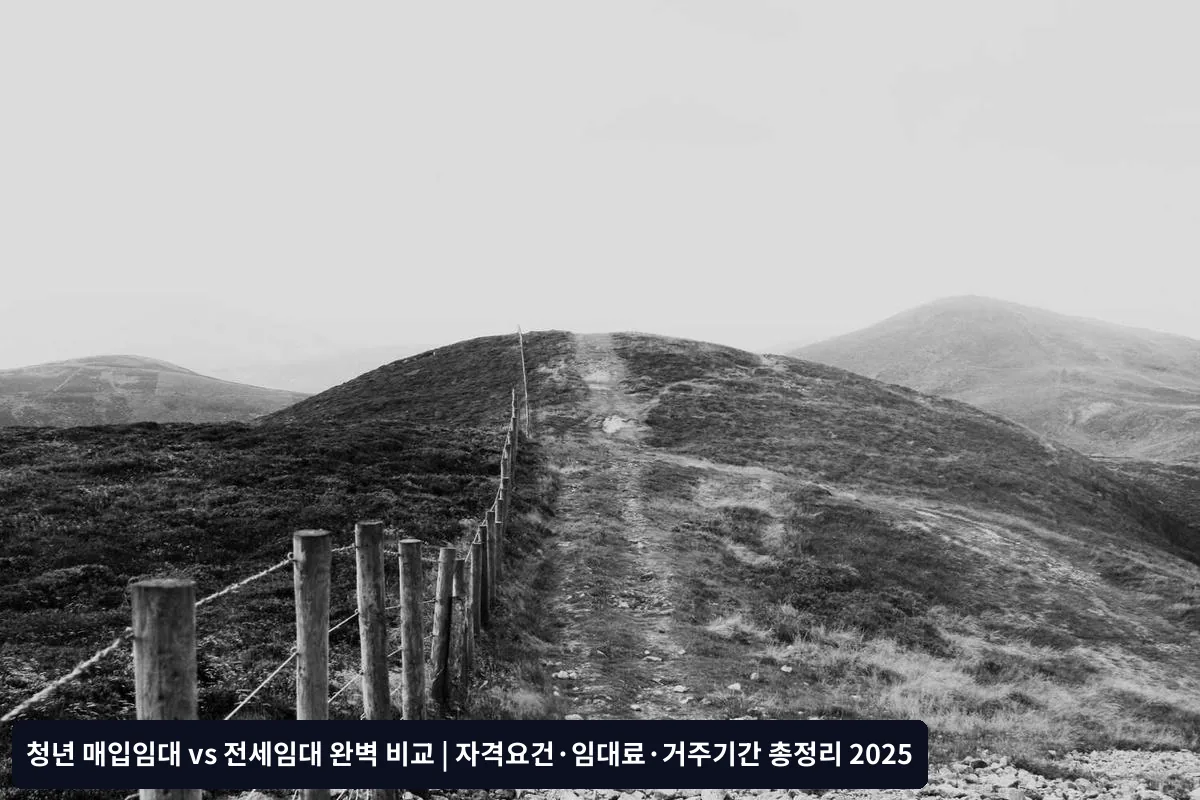 청년 매입임대 임대료