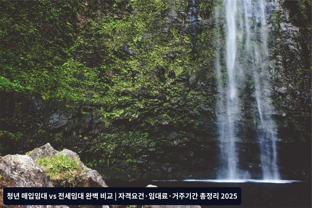 신청부터 입주까지 절차 비교