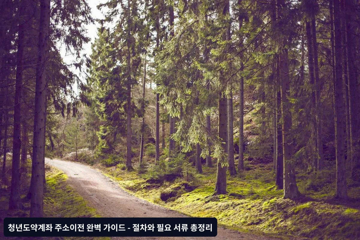 전문가가 알려주는 주소이전 꿀팁