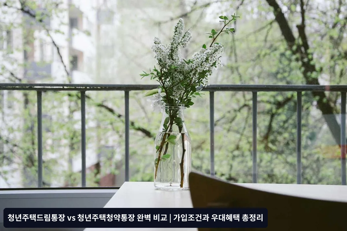 가입 조건 상세 비교 분석