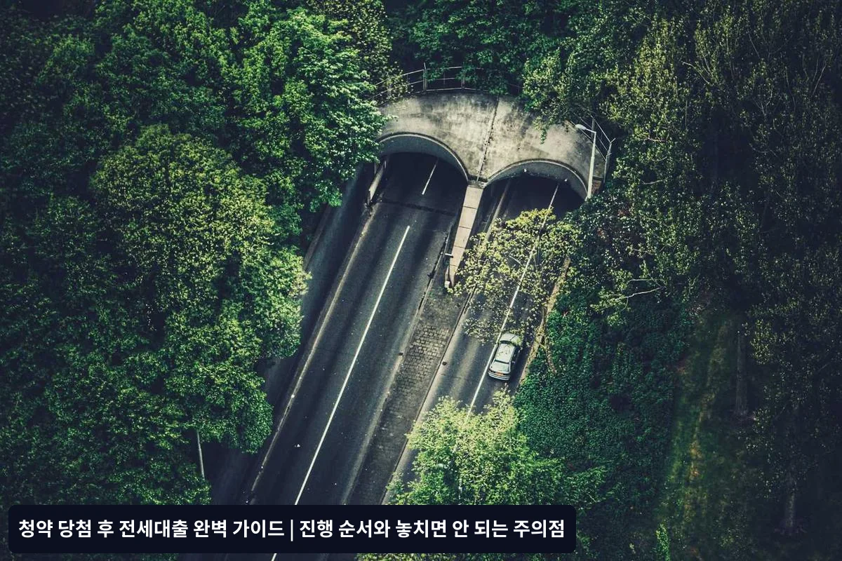 3단계: 필요 서류 준비 (2~3주차)