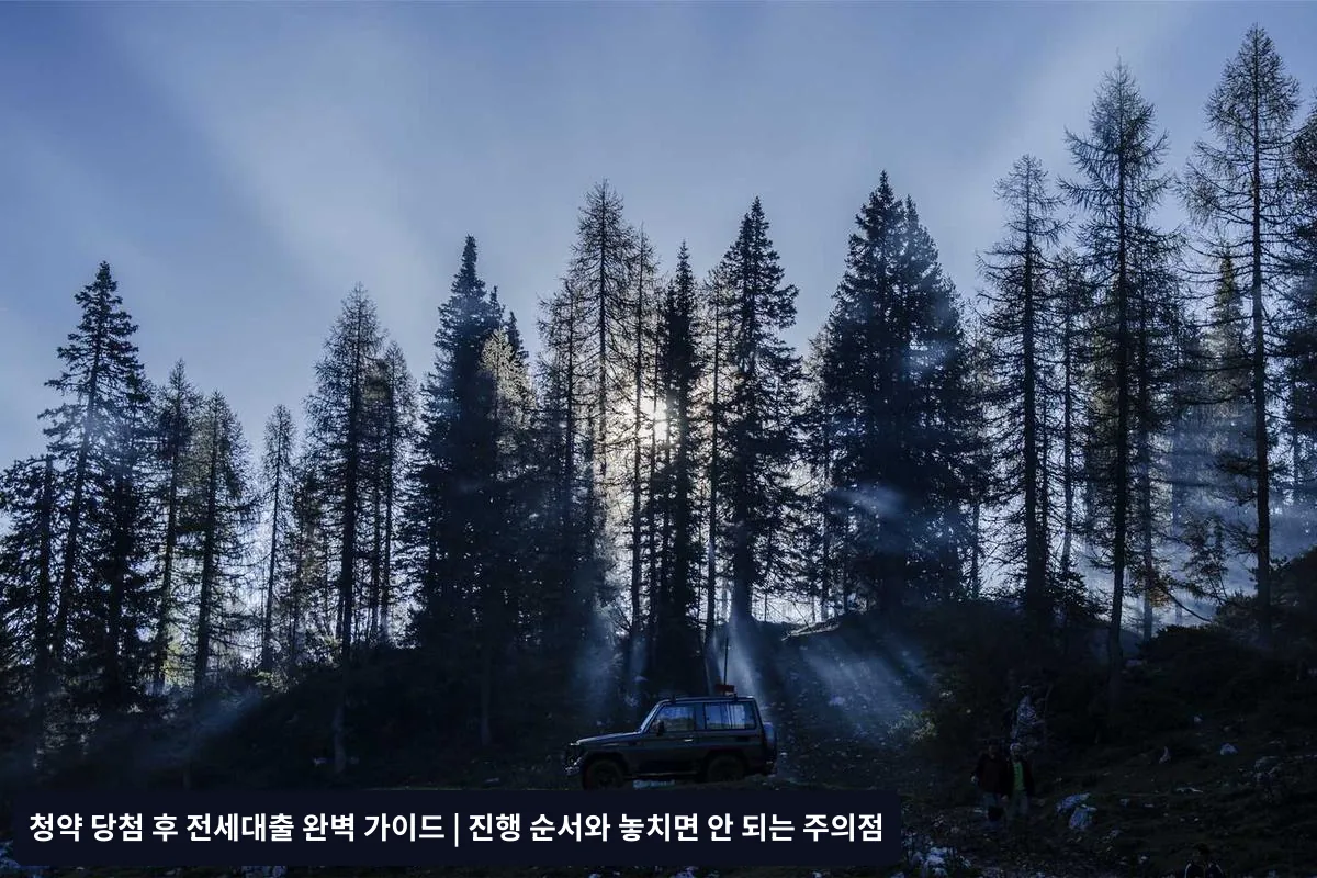 대출 한도 부족 시 대처법