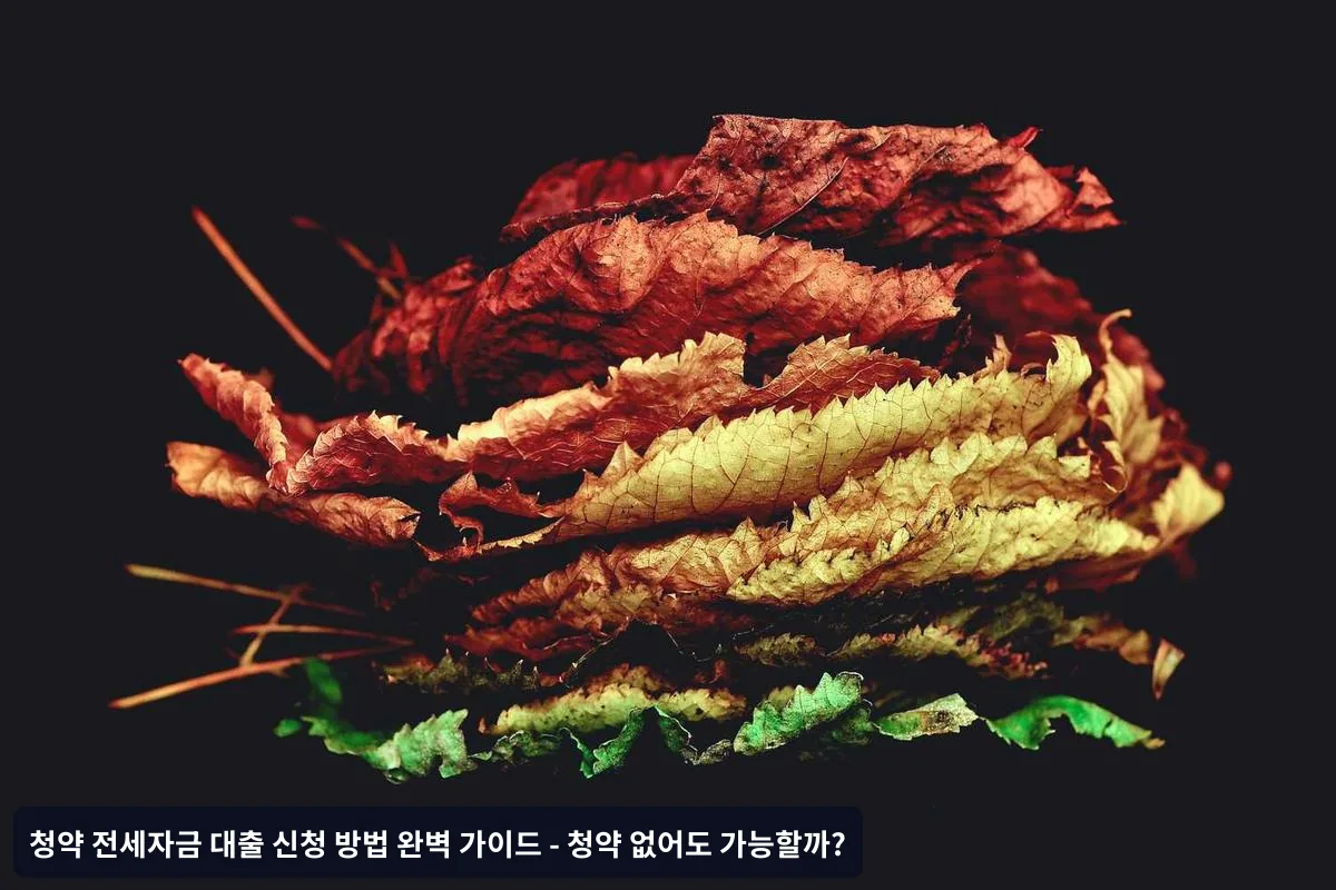은행별 전세자금 대출 조건 비교 (2025년 기준)