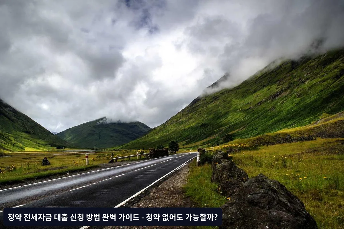 대출 한도 및 금리 최적화 전략