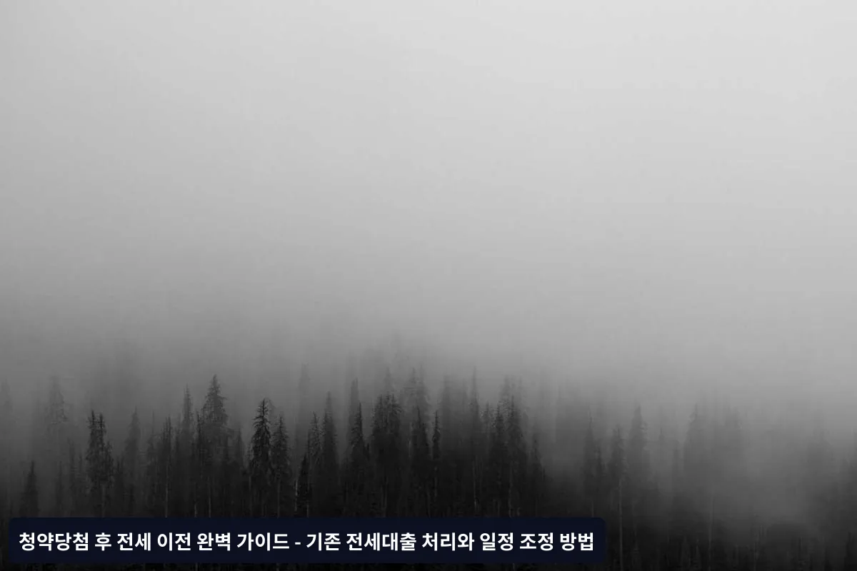 자주 묻는 질문과 전문가 답변