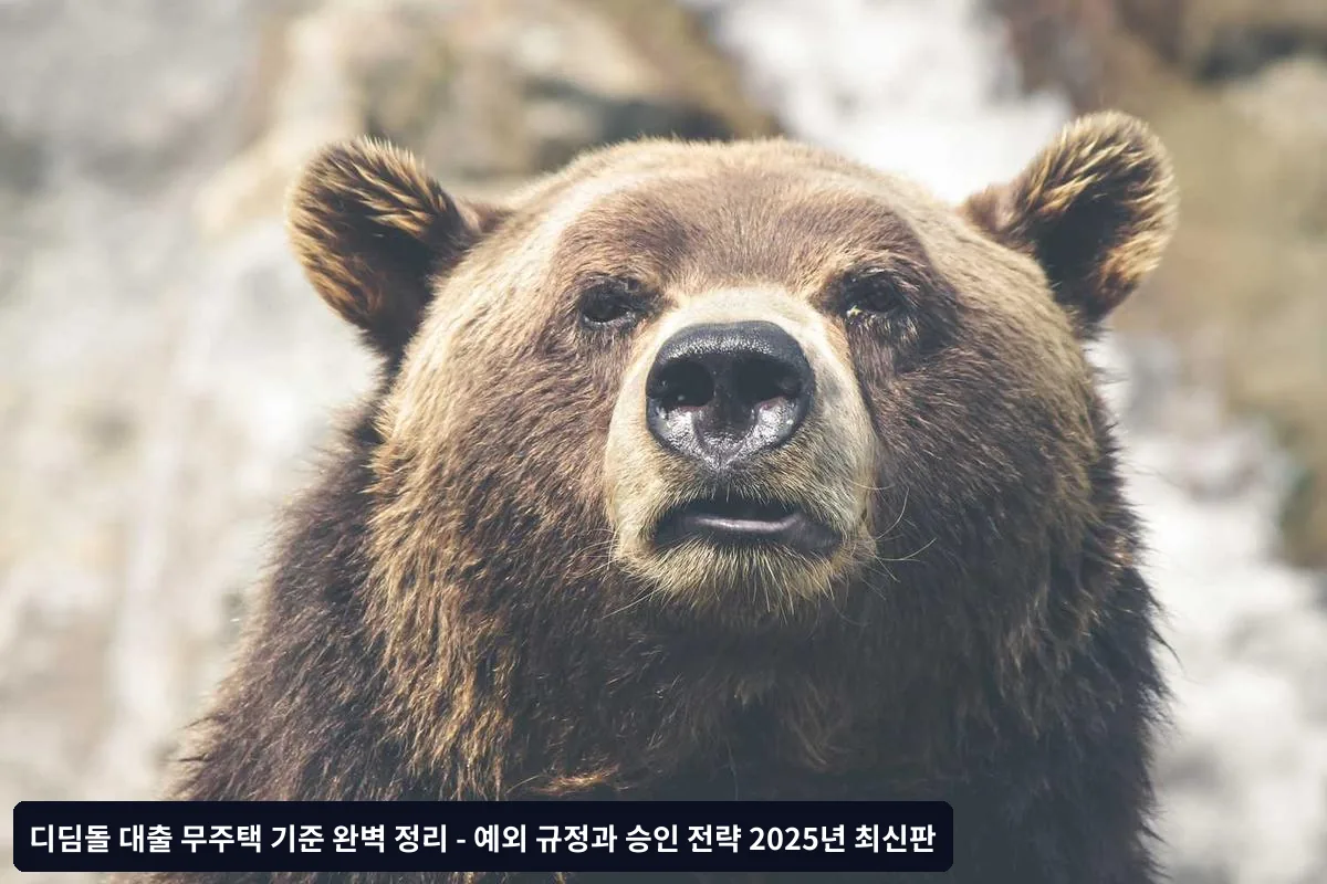 3. 농어촌 주택 보유 예외