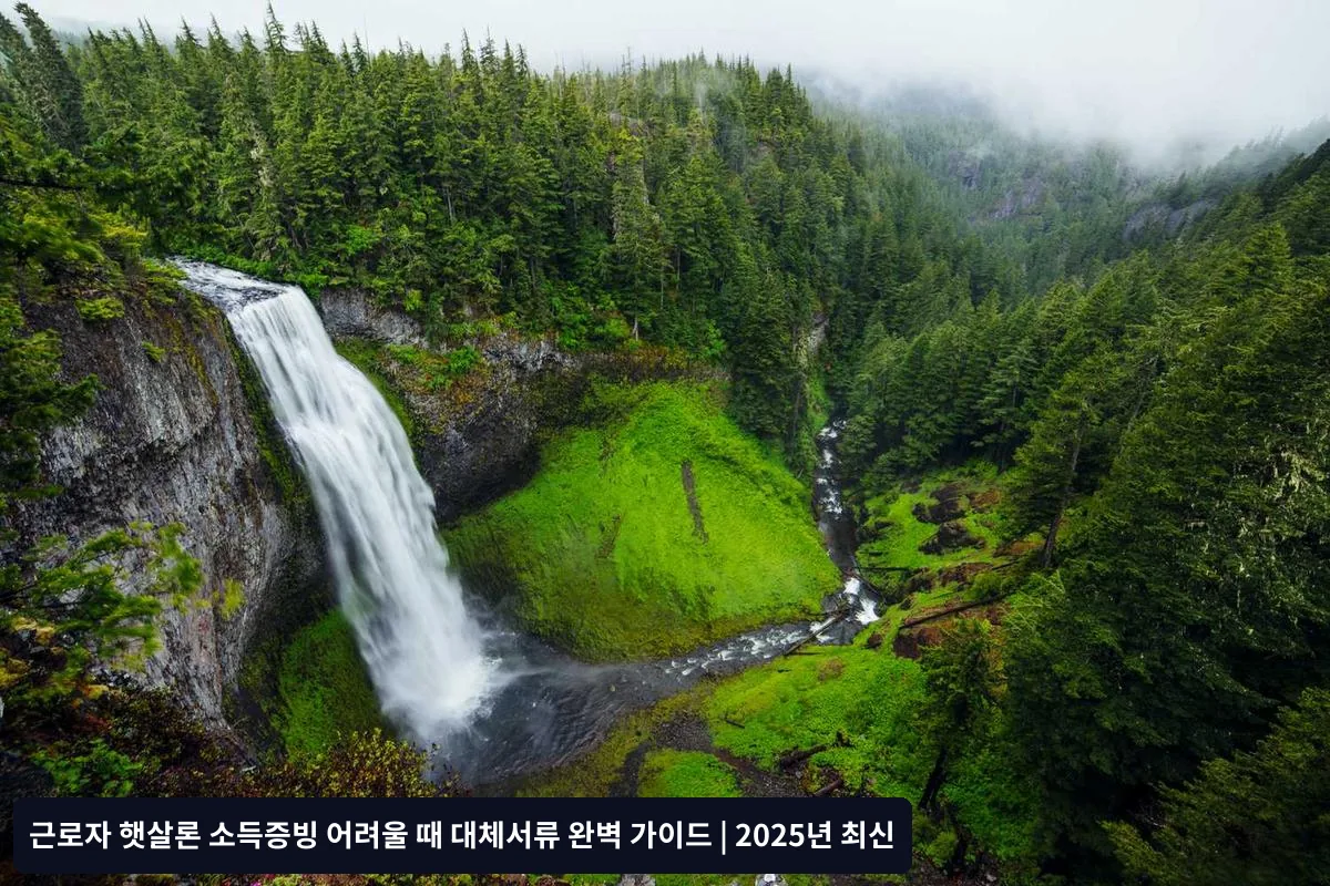 2. 서류의 신뢰성 확보