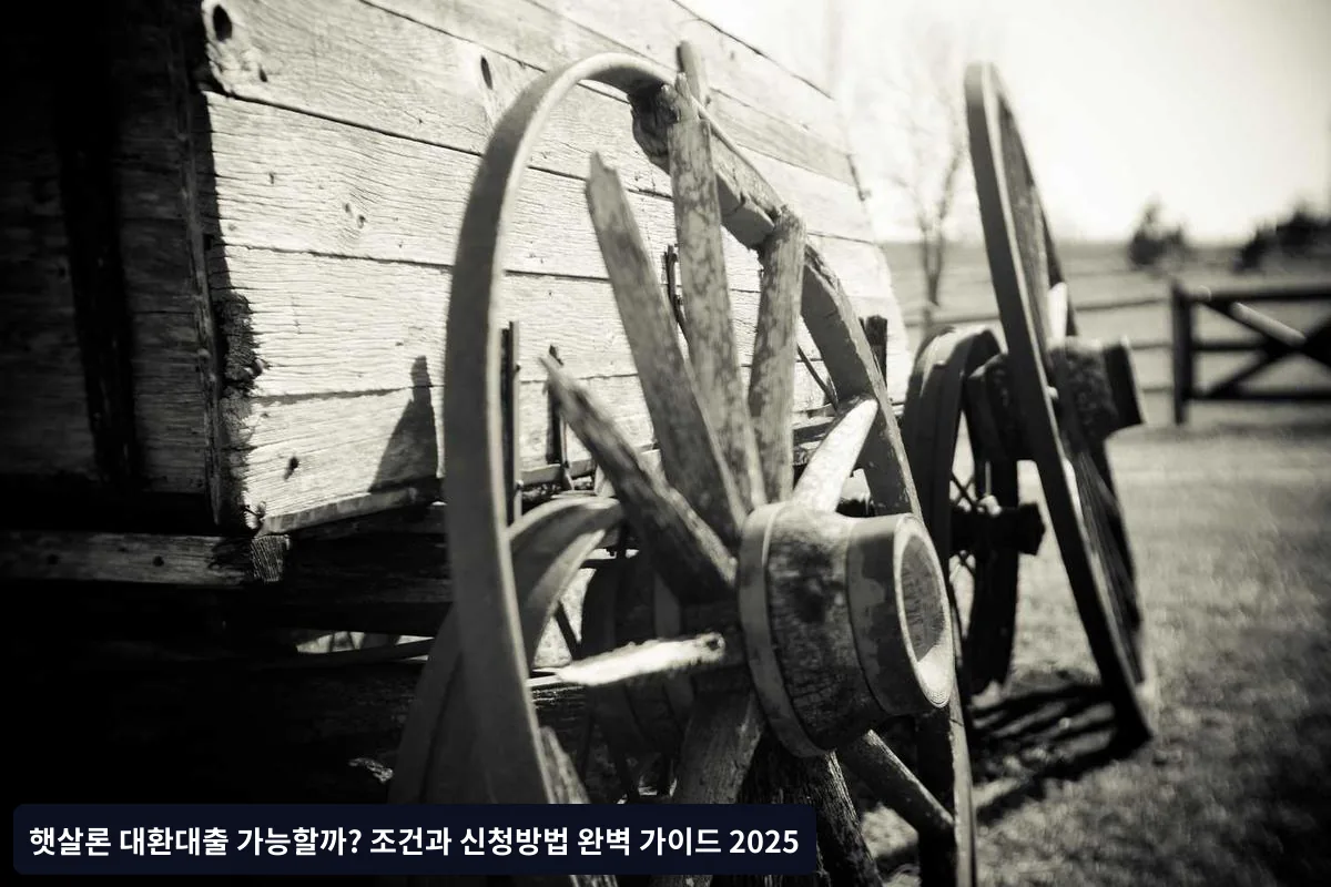 추가 혜택과 장점